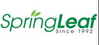 logo springleaf
